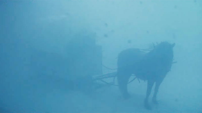 Hazel's Heart Trailer