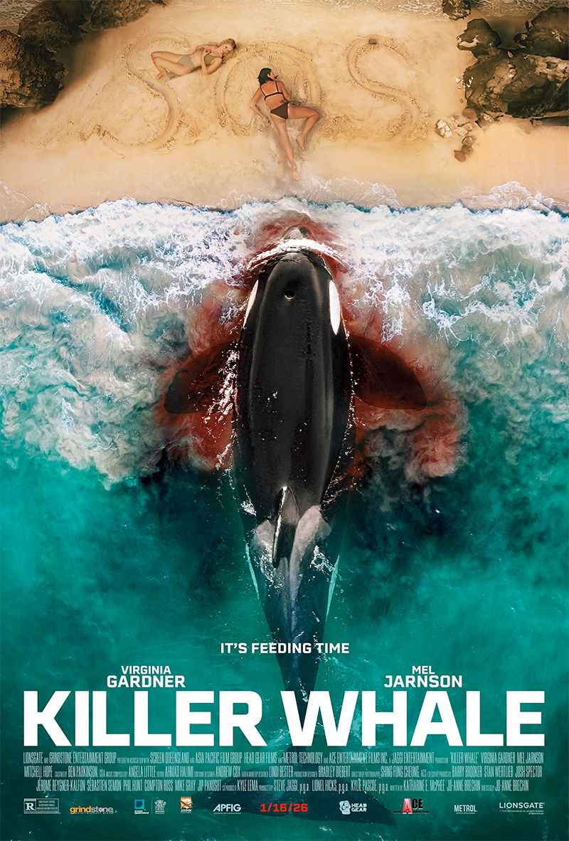 Killer Whale Poster