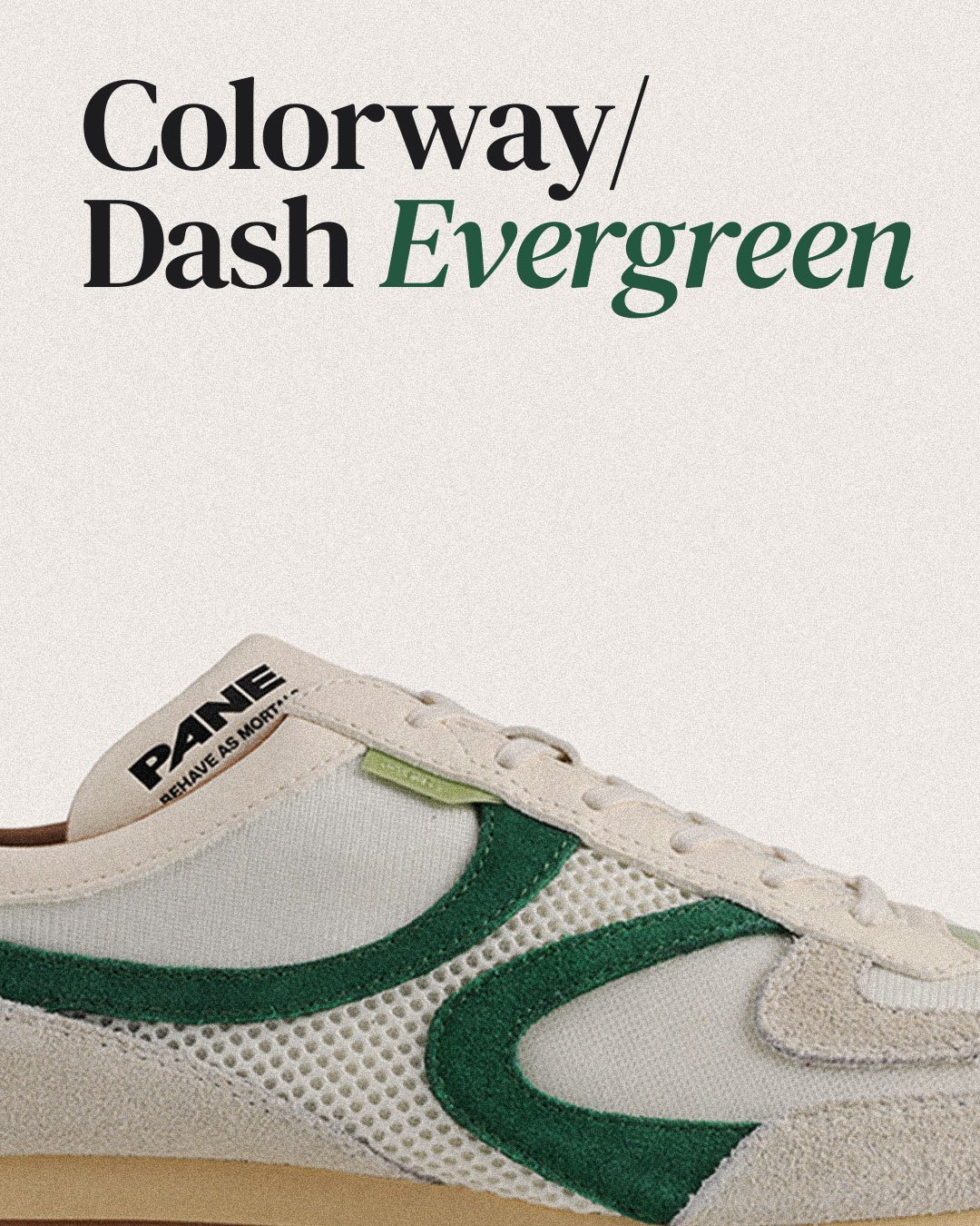 Pane Riviera Run 2026