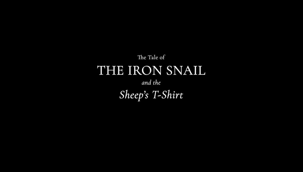 Ultimate Merino Wool T-Shirt Test - TIS