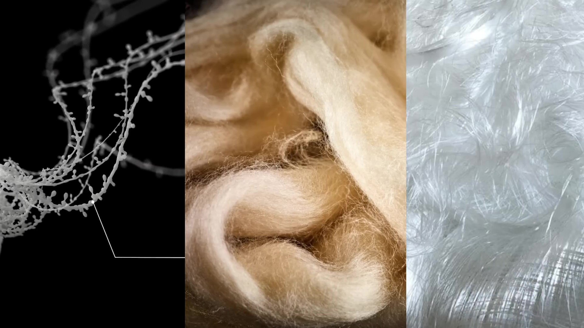 Ultimate Merino Wool T-Shirt Test - Fiber Wool Breakdown