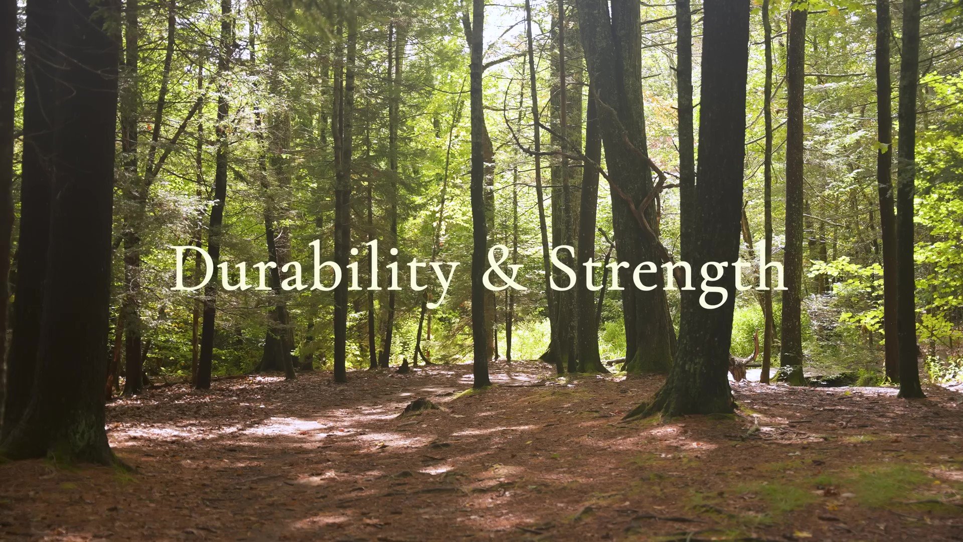 Ultimate Merino Wool T-Shirt Test - Test 3 Durability and Strength