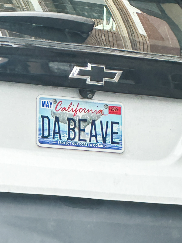 My Everyday Life Week 09 of 2026- Tracy Benjamin of Shutterbean.com