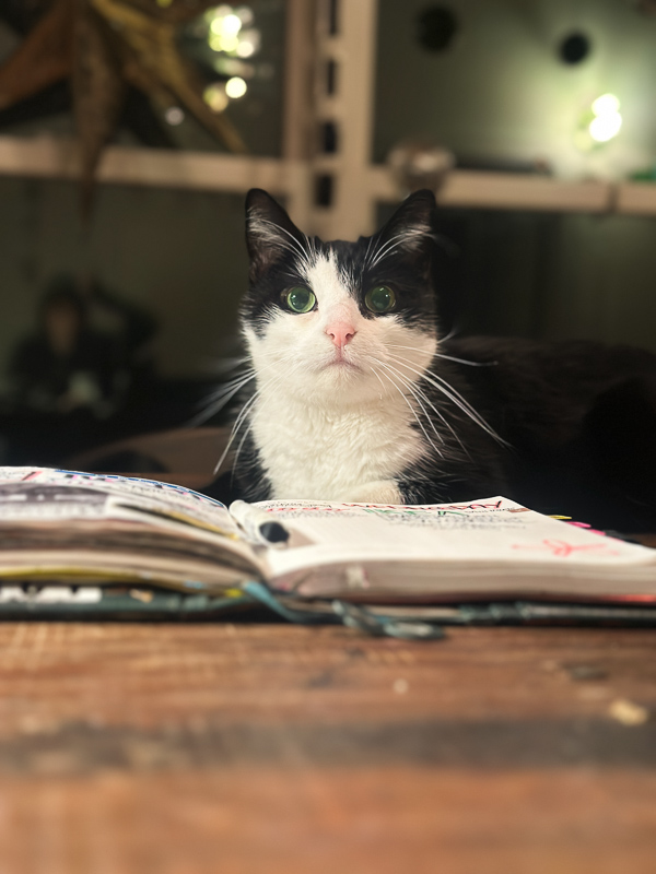 My Everyday Life Week 09 of 2026- Tracy Benjamin of Shutterbean.com