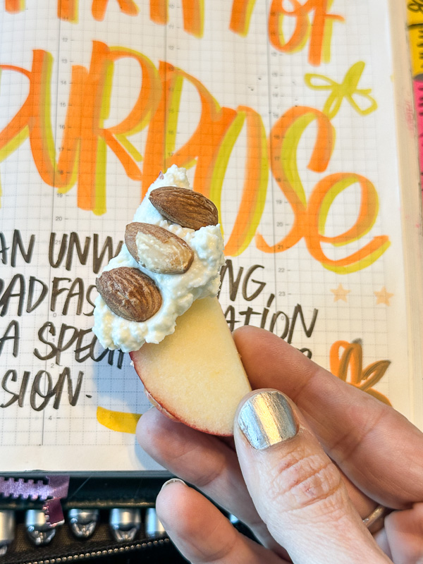 My Everyday Life Week 09 of 2026- Tracy Benjamin of Shutterbean.com