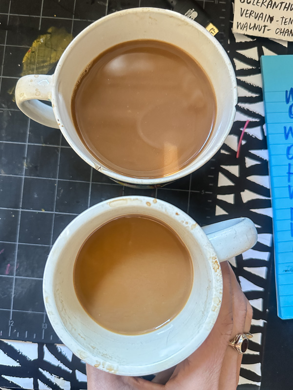 My Everyday Life Week 09 of 2026- Tracy Benjamin of Shutterbean.com