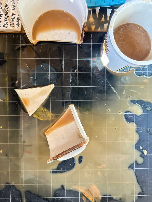 My Everyday Life Week 09 of 2026- Tracy Benjamin of Shutterbean.com