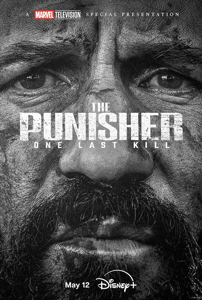 The Punisher: One Last Kill Poster