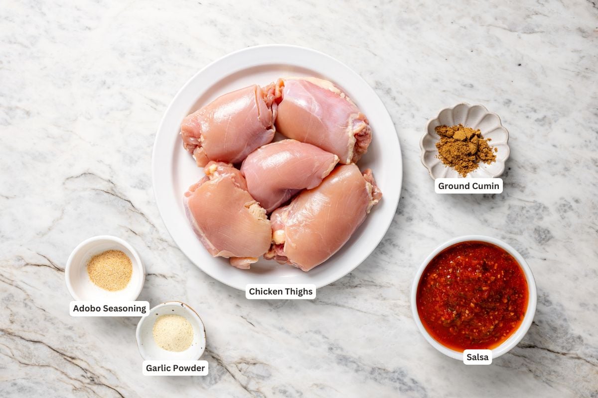 Easy crockpot salsa chicken ingredients with text labels.